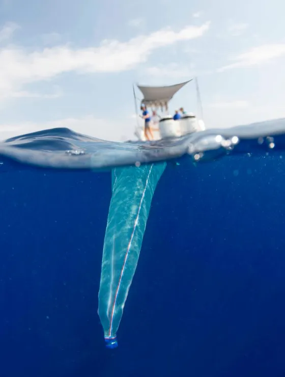 img 2 citizen science 2x.webp