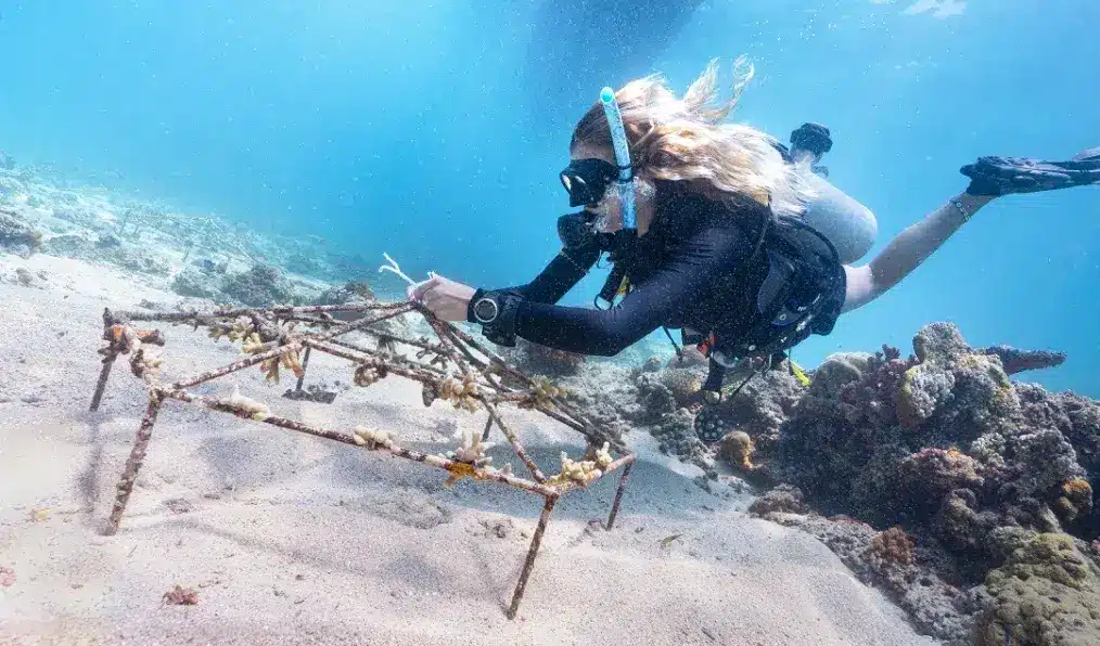 img asia key initiative07 2x.webp