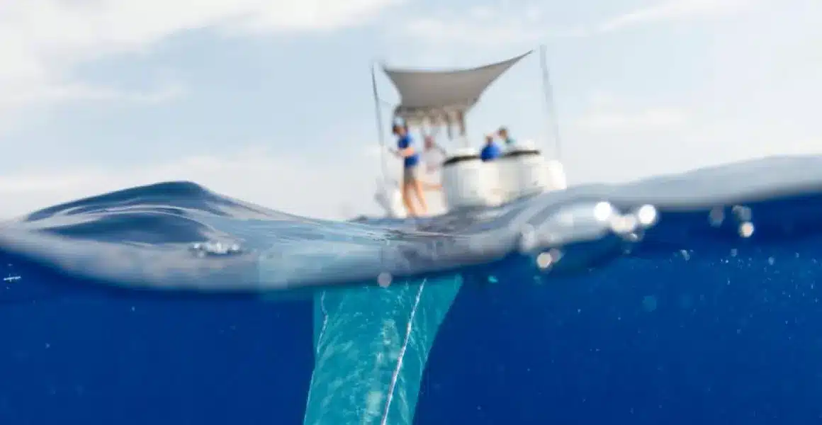 img citizen science 2x 1.webp