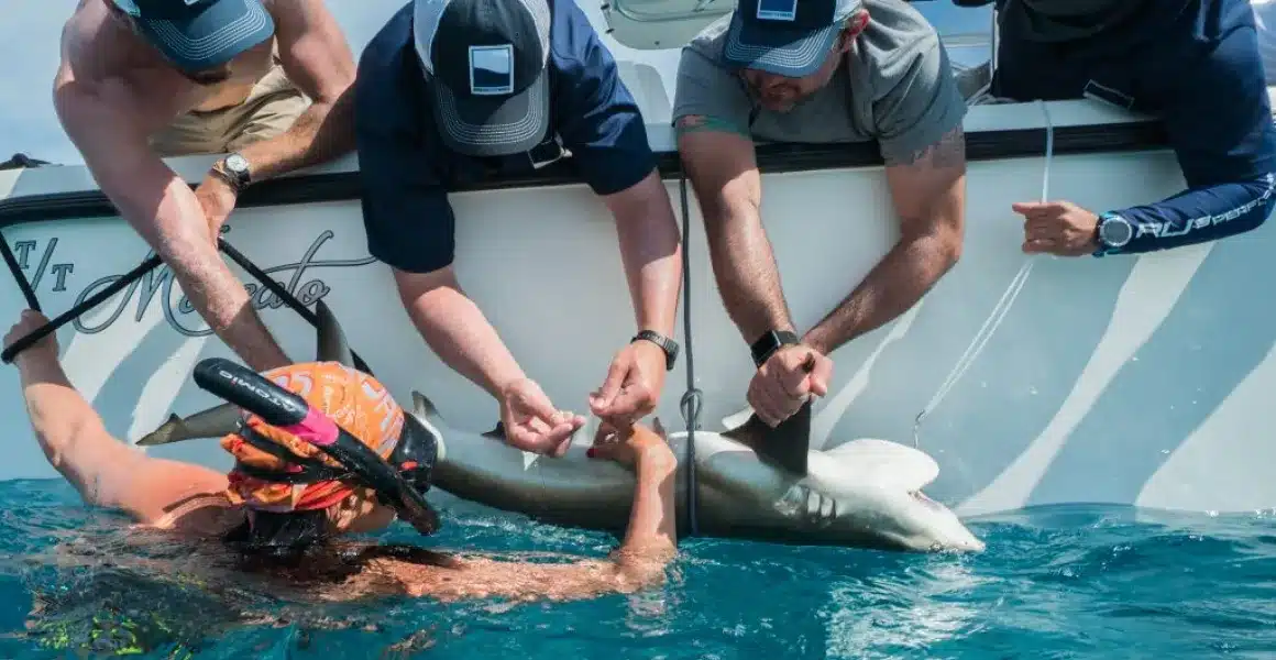 img scientist led expeditions 2x 1.webp