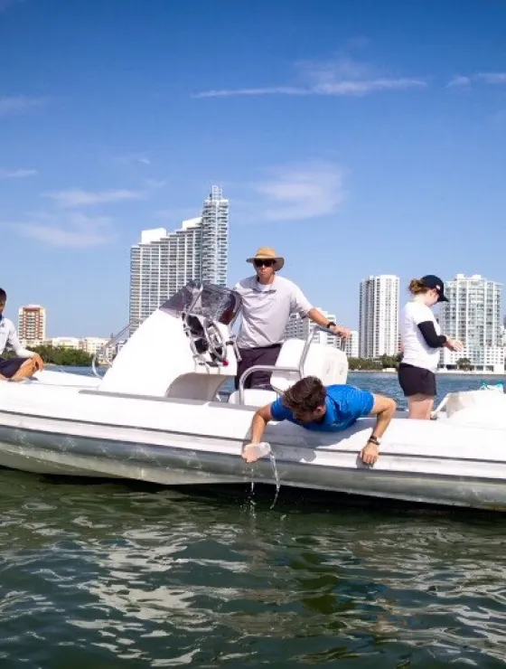 img community engagement 2x.webp