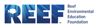 reef logo