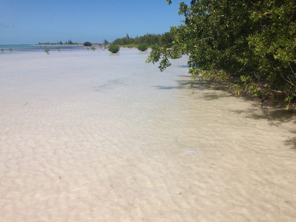 Cayo-Campos-2-1024x768