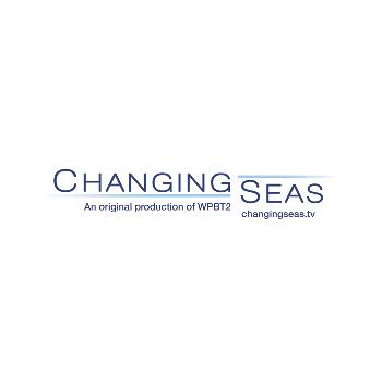 Changing Seas