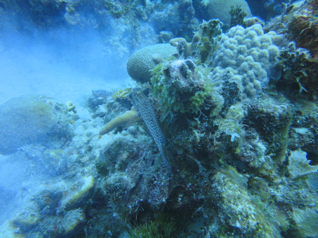 DSC02321