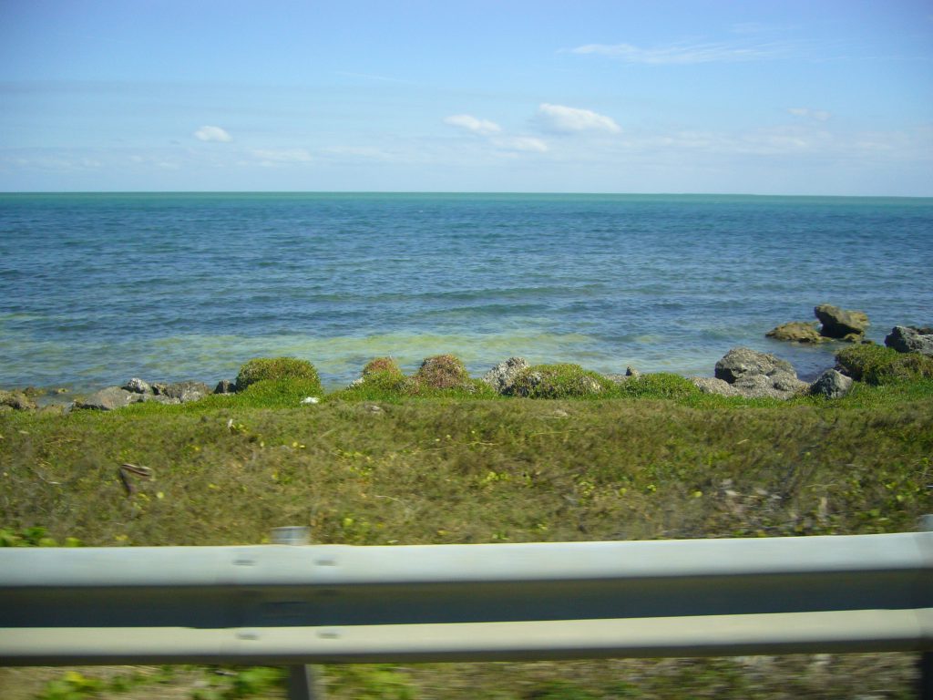 P1080108-1024x768