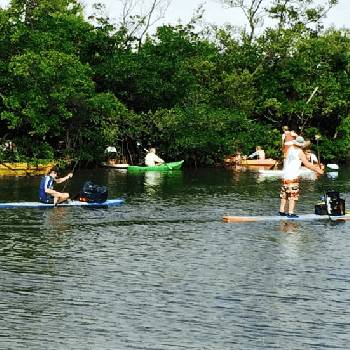 Waterway-Cleanup-1