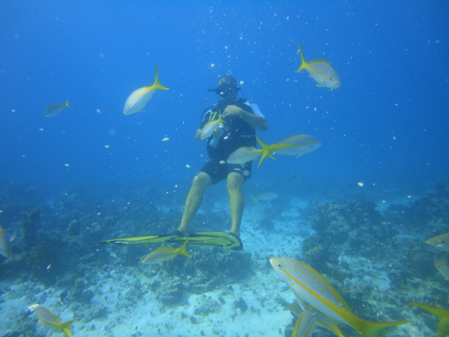 cuba_diving