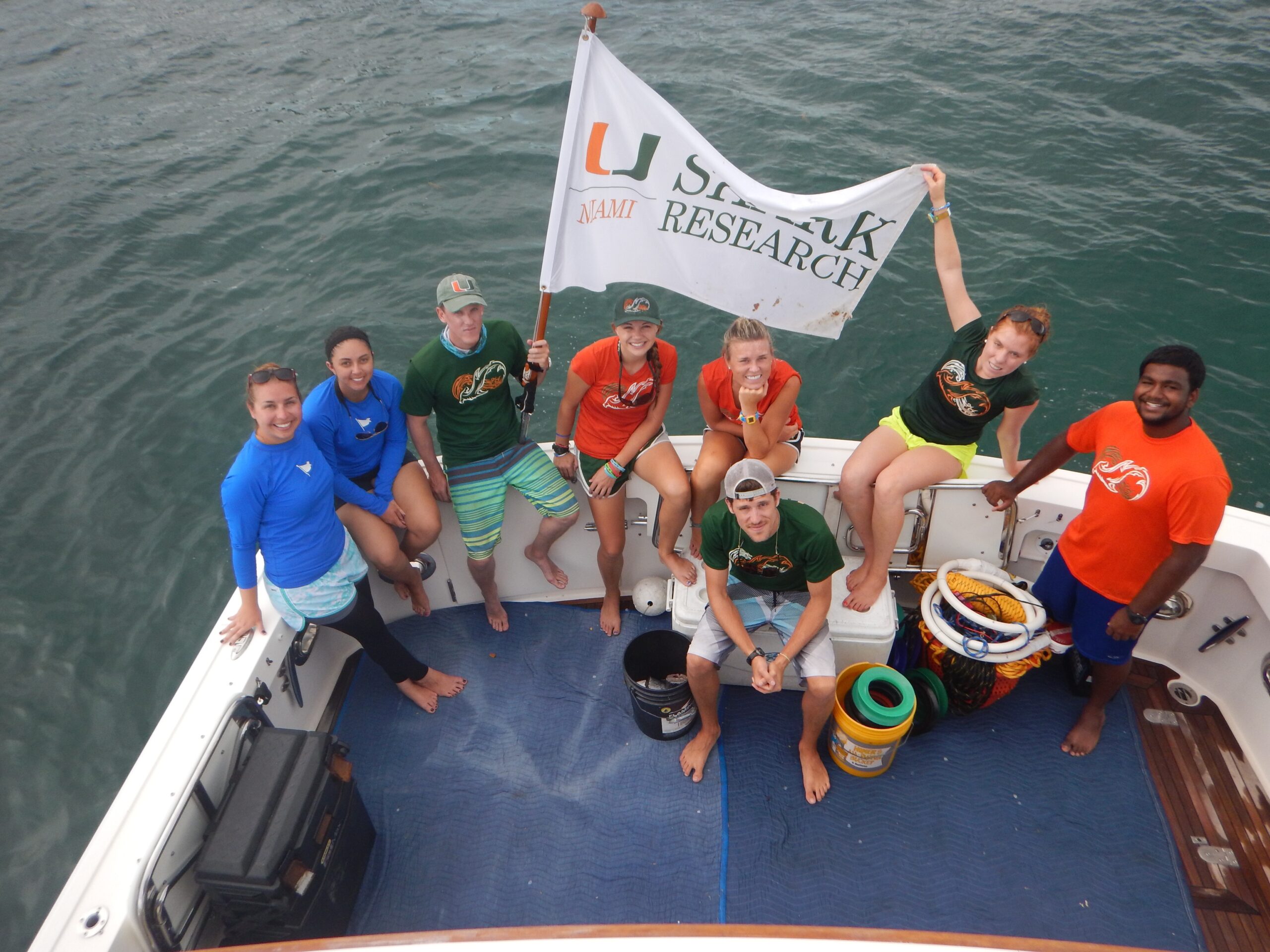 image of Shark Tagging