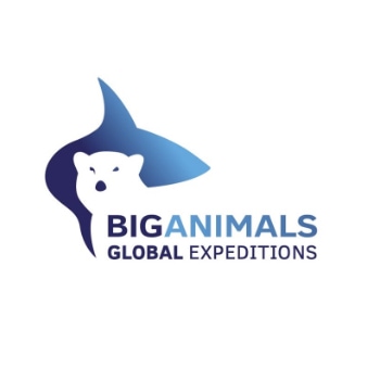 img-big-animals-global-expeditions