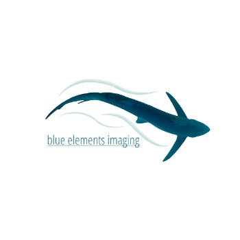 img-blue-elements-imaging