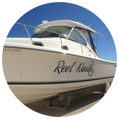 Reel-Nauti