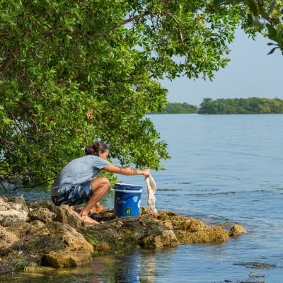 img-Monthly-Park-Cleanup-2021