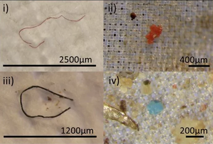 microplastic