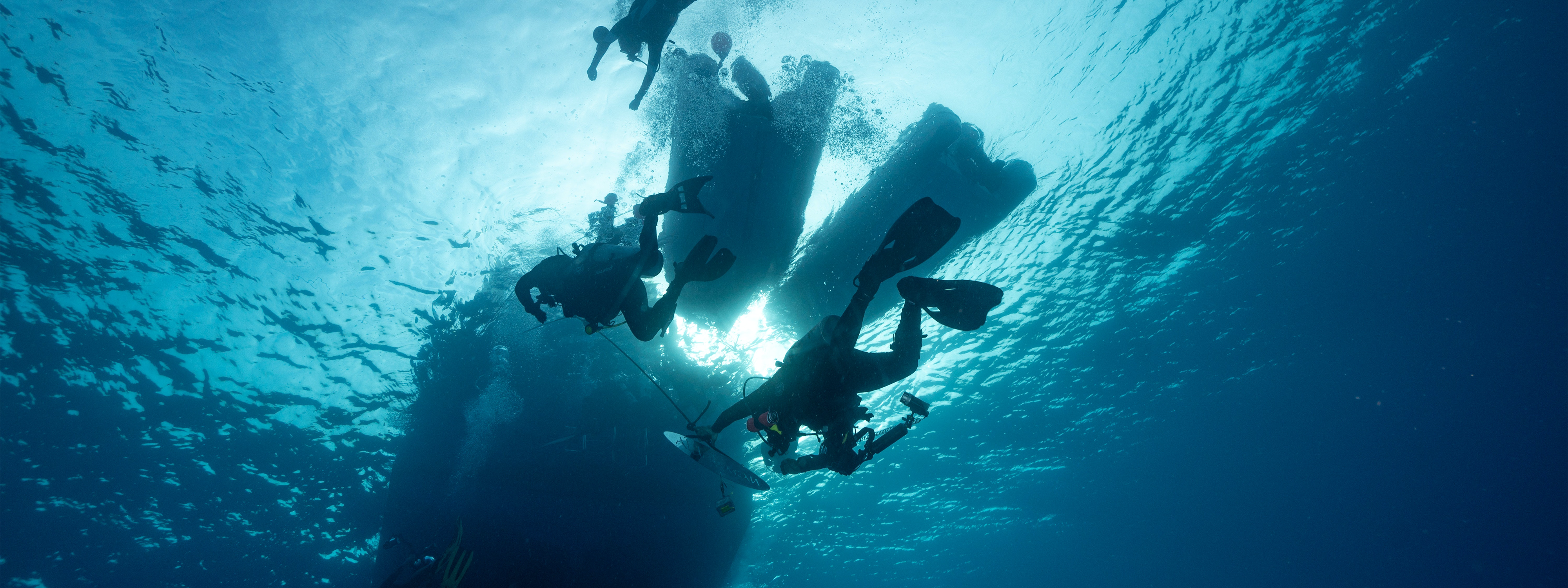 Key-Largo-Citizen-Science-Project-Header-Section