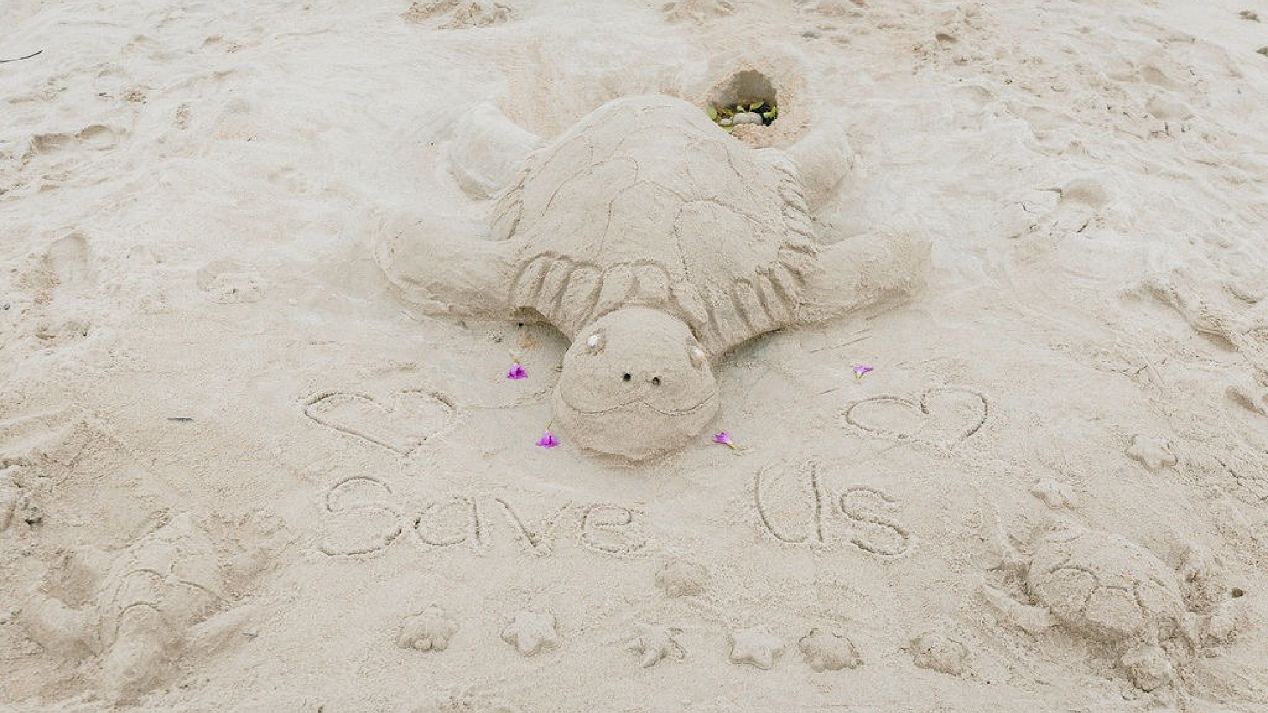 BringOurTurtlesBack-Launches-Second-Community-Project-in-Kuala-Terengganu-to-Conserve-Turtles-as-an-Icon