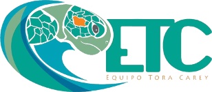 ETC logo