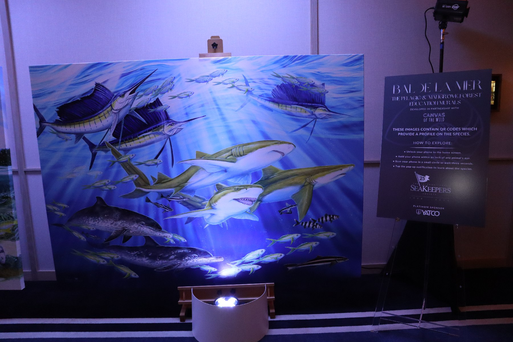 Pelagic Education Mural