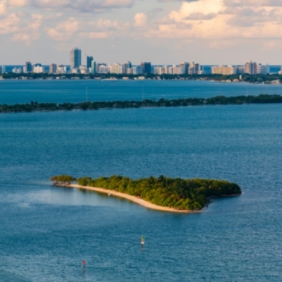 img coastal cleanups southwest florida