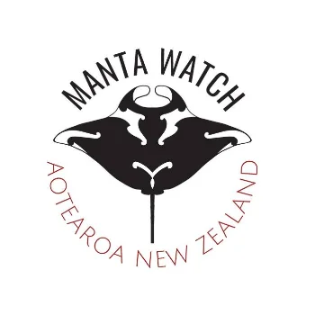 manta-watch-new-zealand