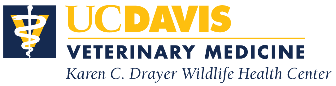 University of California, Davis campus