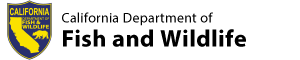 header organization
