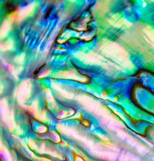 image featured