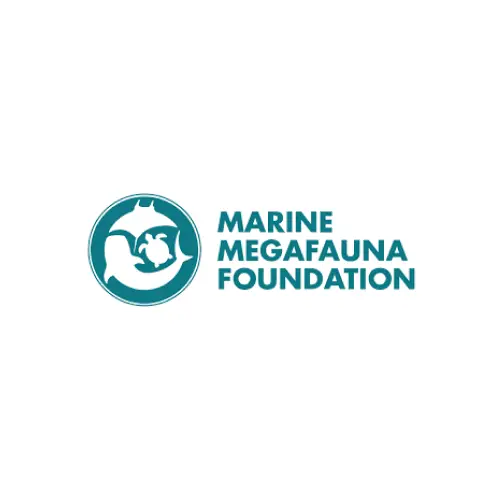 marine megafauna foundation