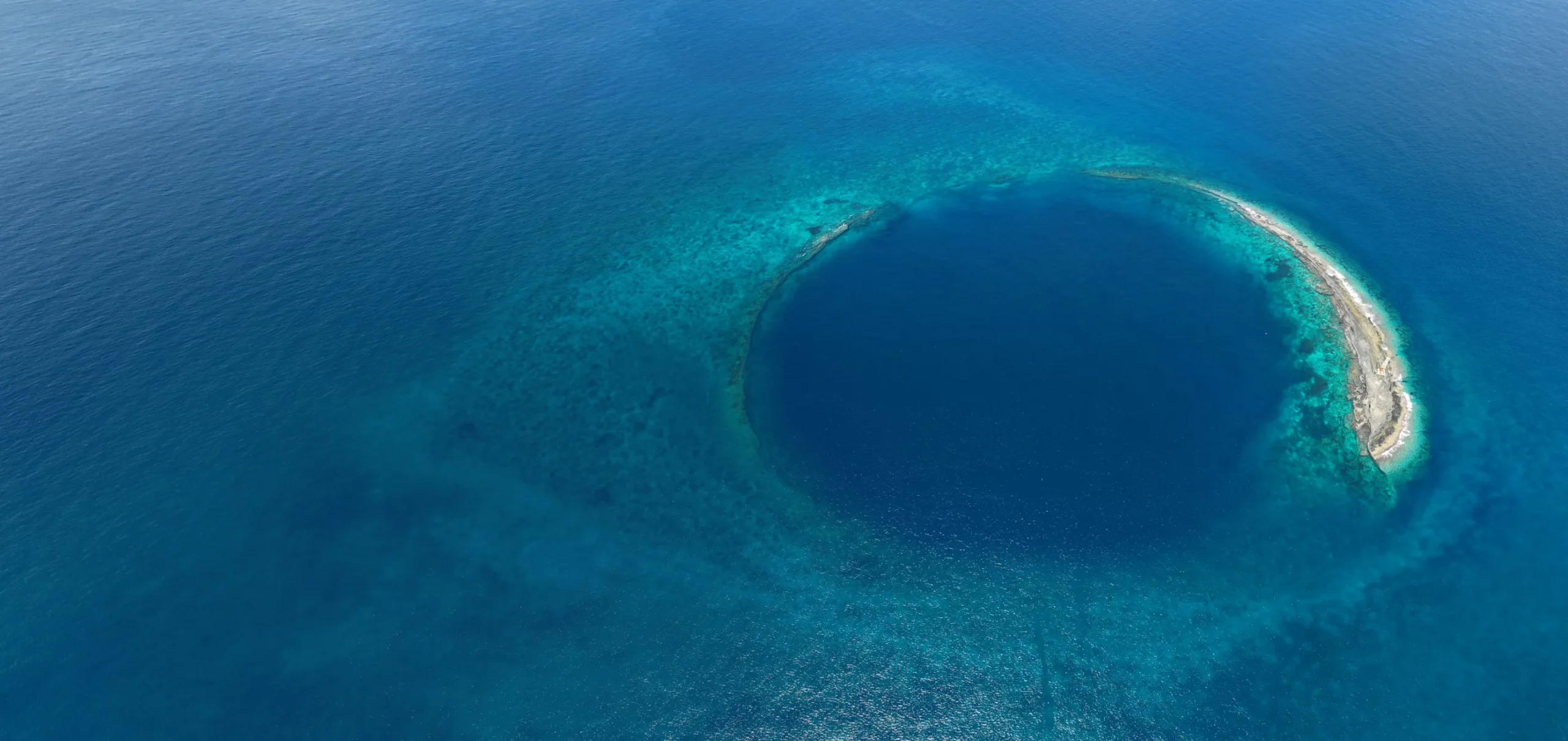 Connected by the Reef – Te Firi A’Au