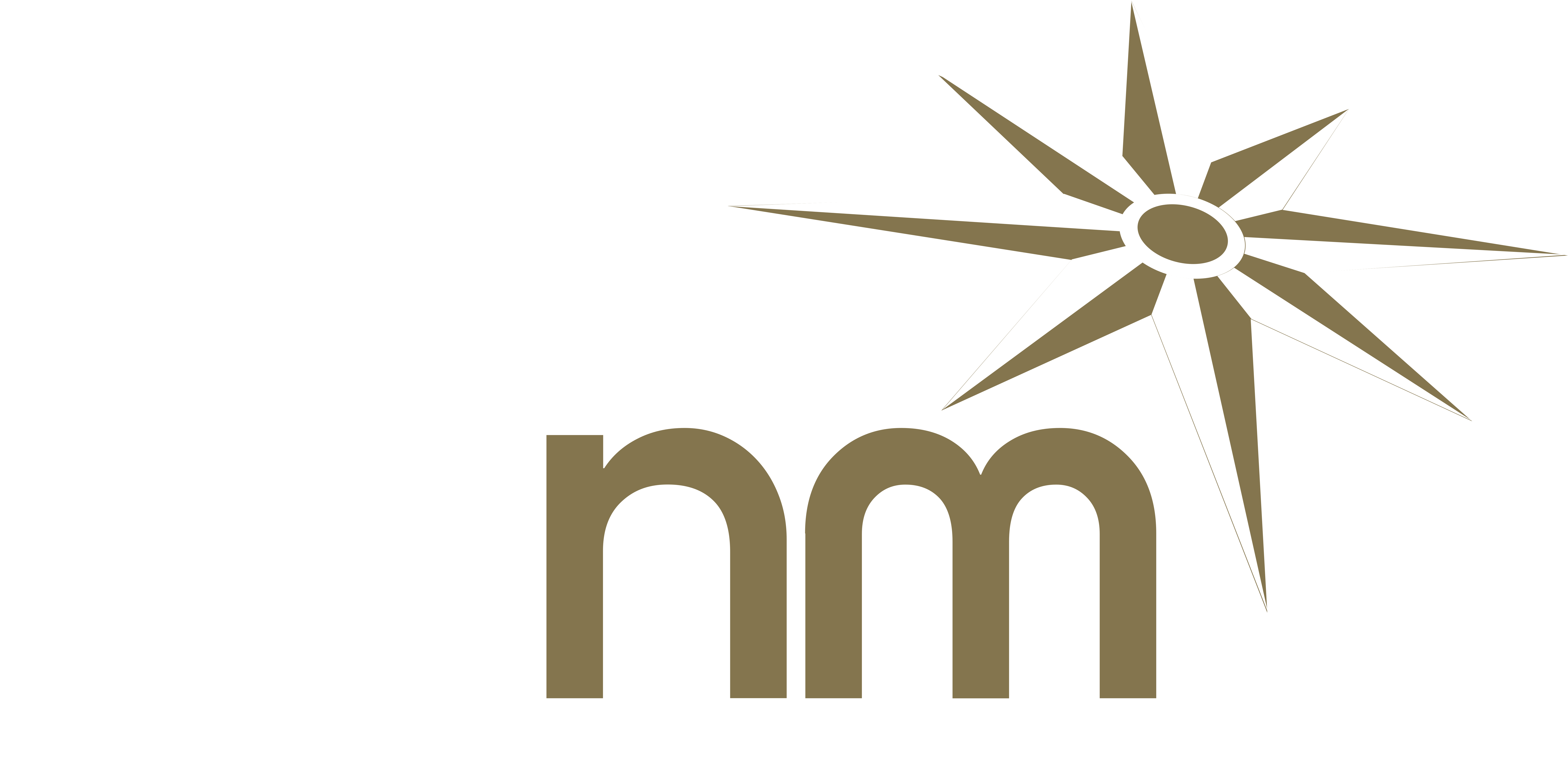 DSNM Logo