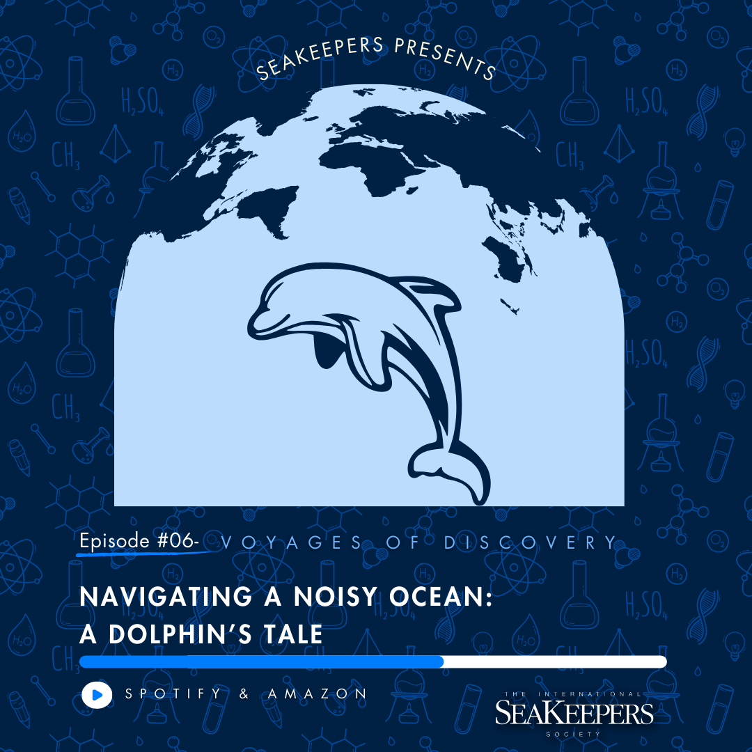 SeaKeepers Podcast Episode 6: Navigating a Noisy Ocean: A Dolphin's Tale