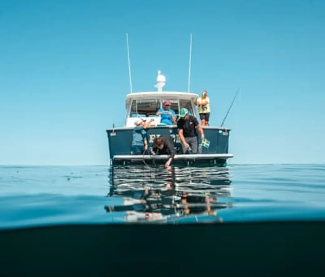project Biology and Ecology of Mola mola in the Northwest Atlantic 2x