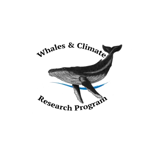 whales climate research program