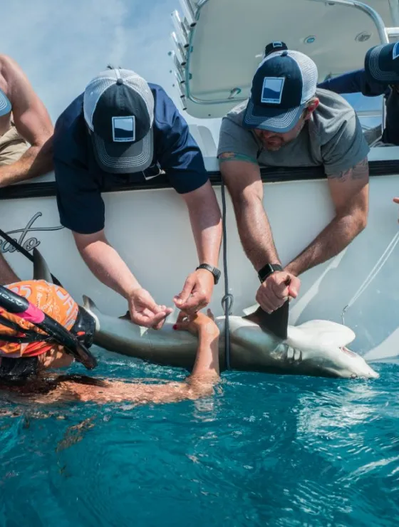 img scientist led expeditions 2x