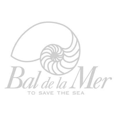 Small BDLM Silver Logo