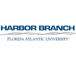 img logo FAU 2022