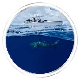 img s3 Scientist Led Expeditions