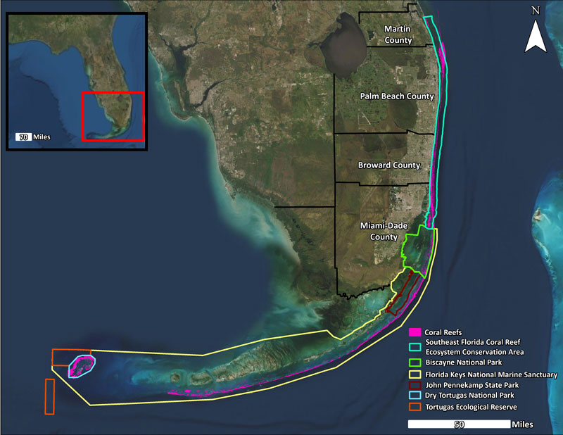 Florida’s Coral Reef in a Changing Environment