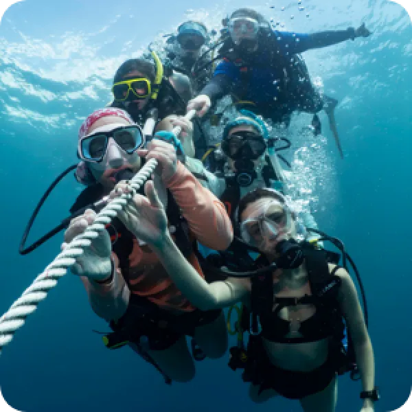 img thumbnail coastal cleanups