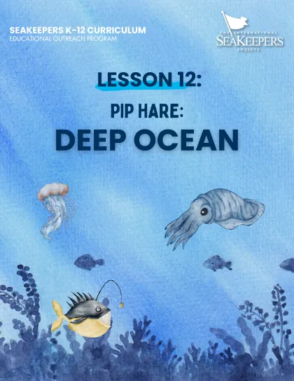 lp12ca deepocean 1x