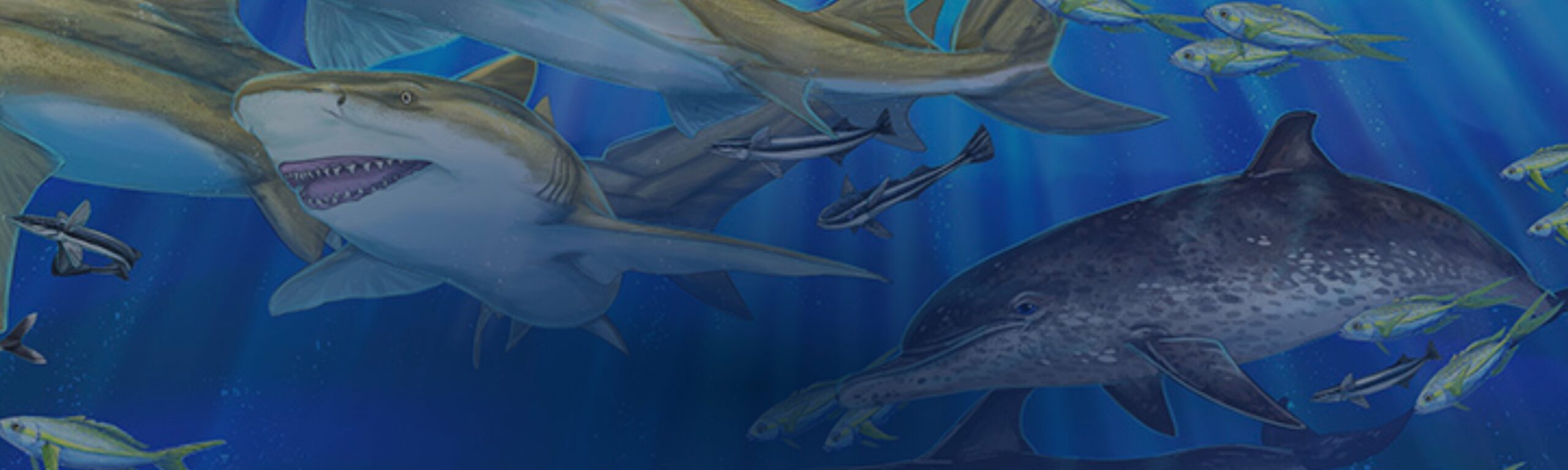 masthead Education Murals scaled