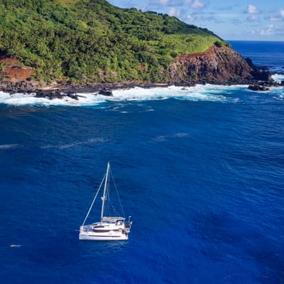 Reef survey of Pitcairn Island cover