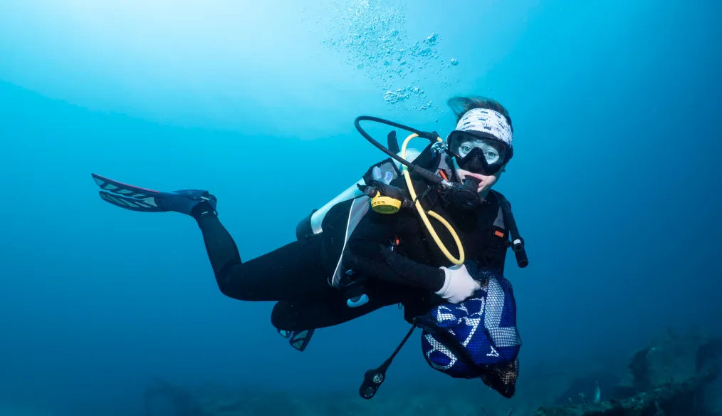 img dive cleanups 2x