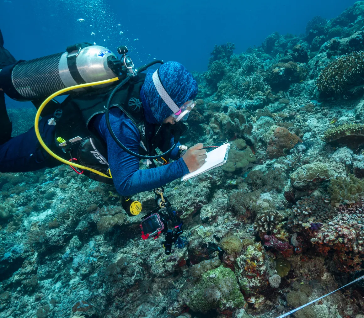 img from yachts to research labs exploring the ocean is depths 2x