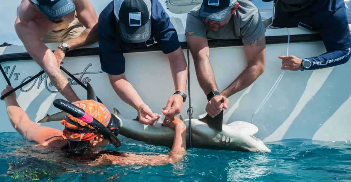 img scientist led expeditions 2x