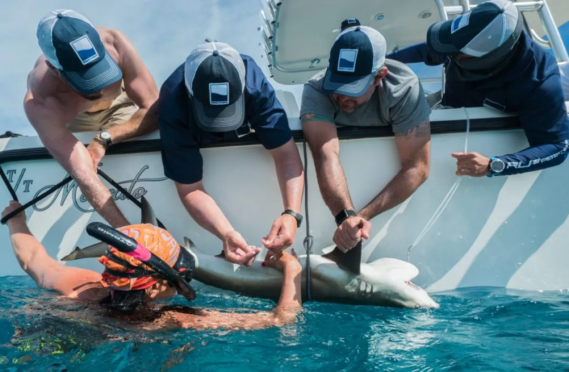 img scientist led expeditions 2x