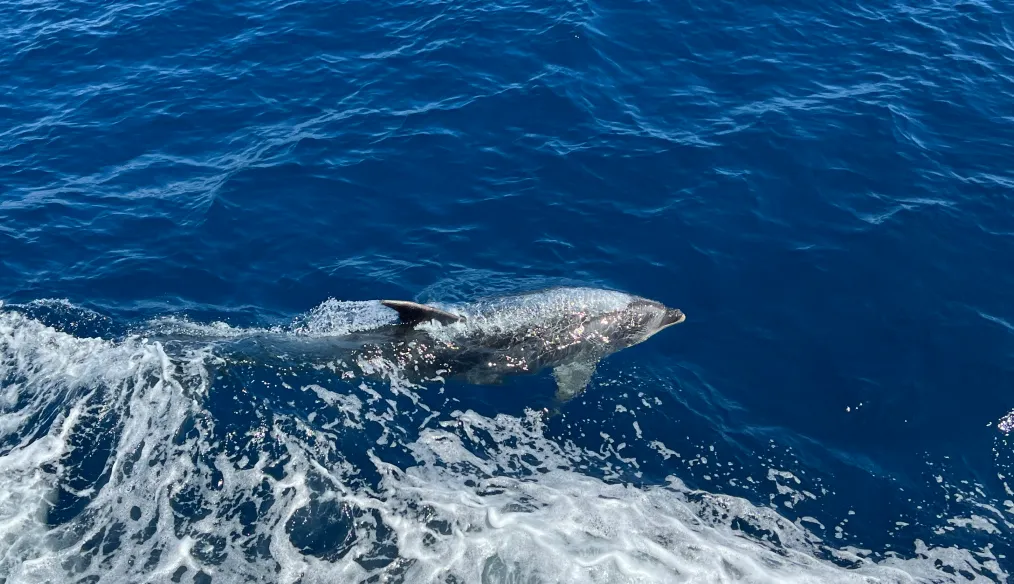 img there are so many ways to help protect the ocean 2x