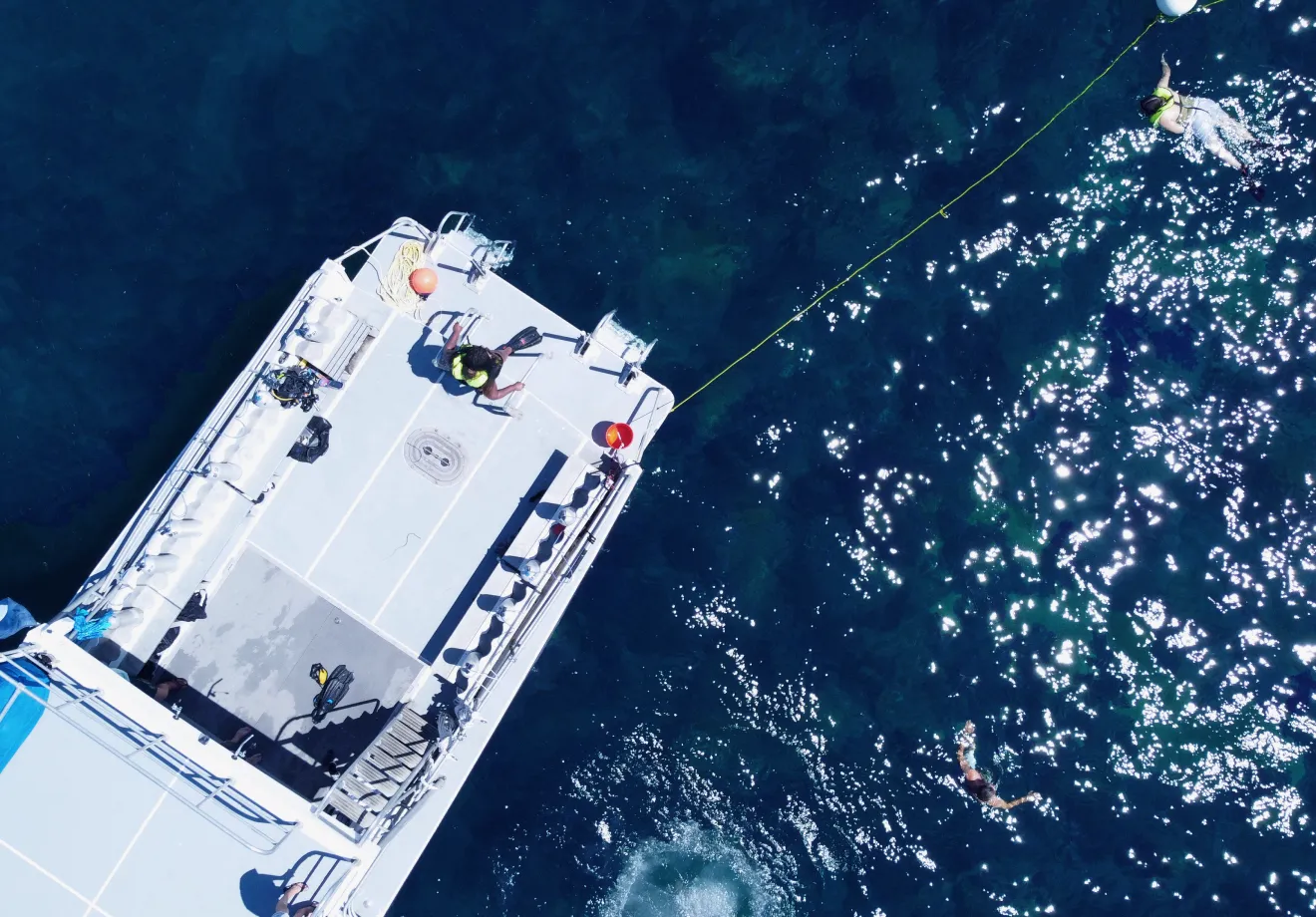 img what s the vessel donation process 2x