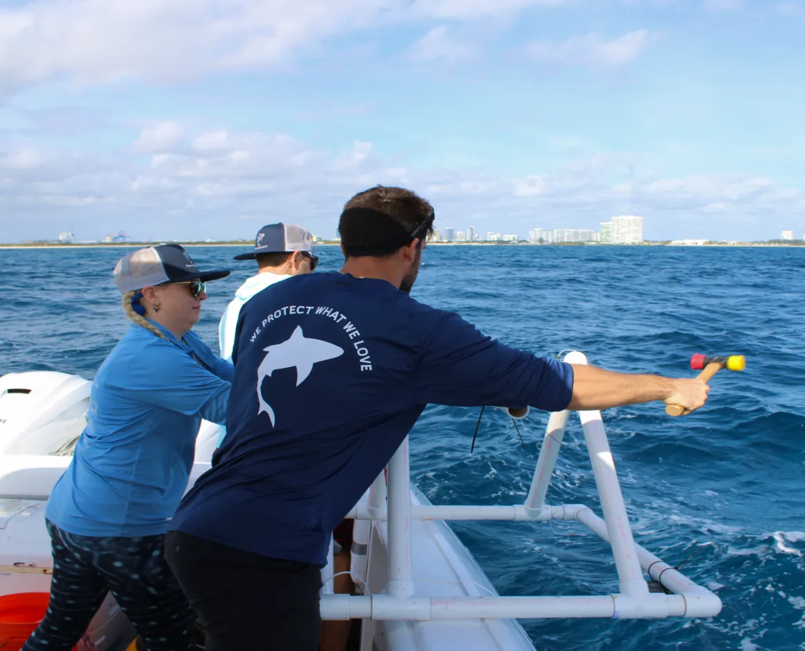 img why become involved in the green marine program 2x