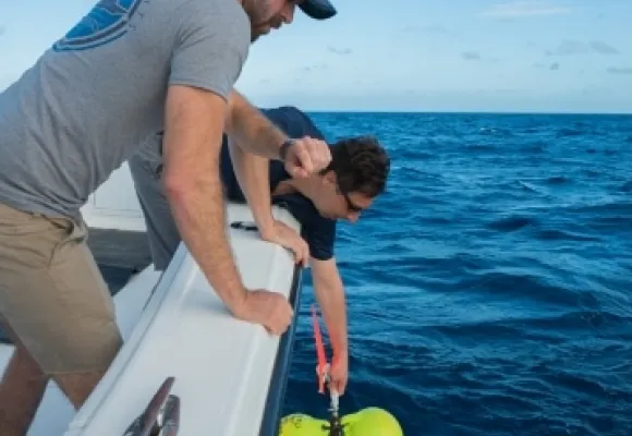 seakeepers conducting field research with beneath the waves in the bahamas aboard discovery yacht mystique 2x